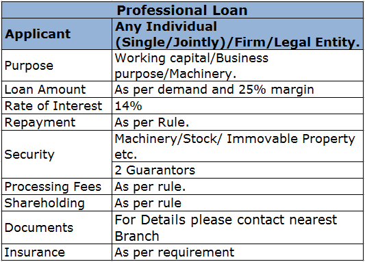 Professional Loan.png